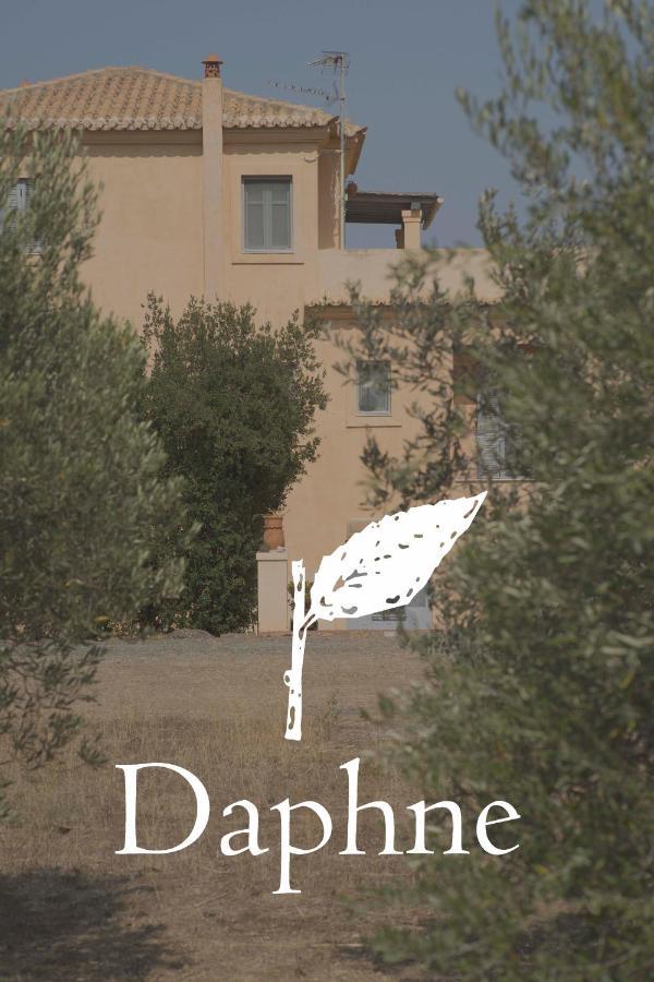 Daphne Βίλα Ερμιόνη Εξωτερικό φωτογραφία