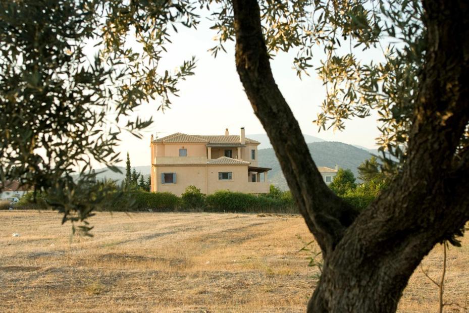Daphne Βίλα Ερμιόνη Εξωτερικό φωτογραφία